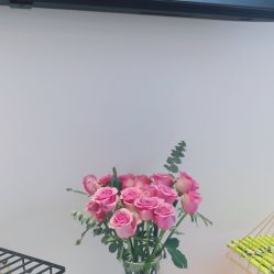 -YESIDO椰岛美容