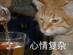 -喜茶(广州中山六路店)