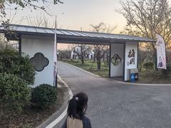 -上海长兴岛郊野公园