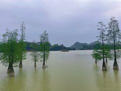 -星湖旅游景区七星岩
