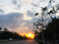 -光明刘冰乳鸽店(光明法政北路店)