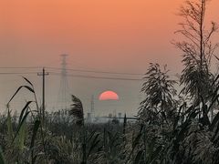 -鄱阳湖国家湿地公园