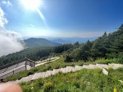 -白草畔自然风景区