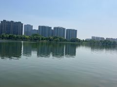 -金沙湖公园