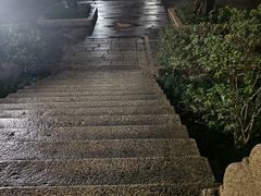 -晓港公园