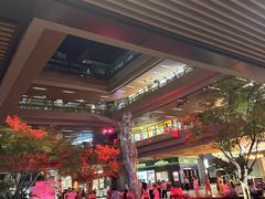 -瑞虹新天地月亮湾