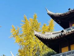 -龙华素斋(龙华路店)