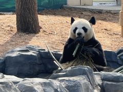 -秦皇岛野生动物园