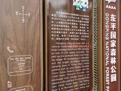 -东平国家森林公园