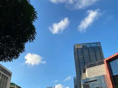 -奈雪的茶(苏宁广场店)
