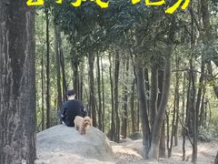 -火炉山森林公园