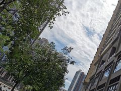 -杨箕村B区