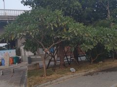 -海堤纪念公园
