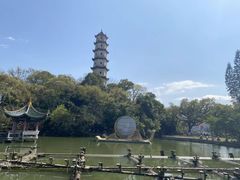 -江心屿景区