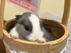 -大象厨房(重庆道店)