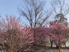 -山水一号·中餐厅