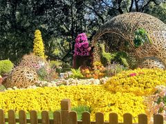 -上海共青森林公园