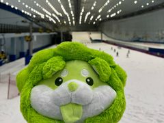 -哈尔滨热雪奇迹
