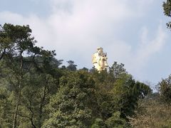 -大金鹰园