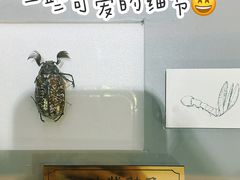 -上海昆虫博物馆