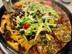 -老板恋上鱼(恒隆广场店)