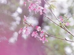 -福建鲤鱼洲酒店