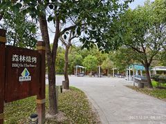 -上海海湾国家森林公园