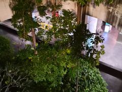 -厦门高崎国际机场-T3航站楼