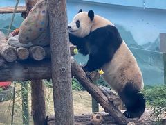 -大连森林动物园