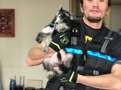 -炼健身私教工作室