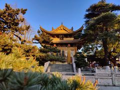 -上海东林寺(金山区)