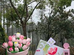-武汉欢乐谷