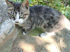 -蟠龙山长城景区