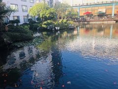 -苏苑饭店-中餐厅(长桥地区店)