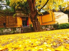 -无锡惠山寺