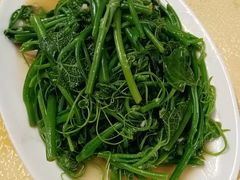 蒜蓉炒佛手瓜叶-粤友餐厅