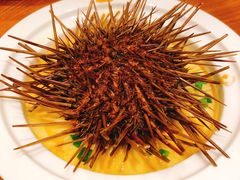 烟台黄海胆-新海渔港·胶东海鲜家常菜·家宴(奥体中心店)