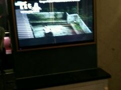 -唛歌时尚KTV(胜利北路店)