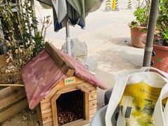 -隹木咖啡馆(宝龙广场店)