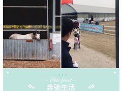 -月河湾马术俱乐部(朝阳店)
