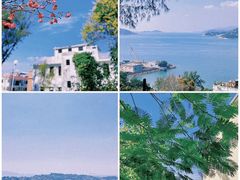 -长洲岛