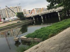 -桃花堤公园