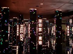 -平安金融中心云际观光层