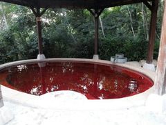 android_upload_pic-天目湖涵田度假村