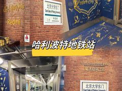 -北京大学东门(地铁站)