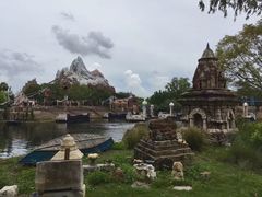 -奥兰多迪士尼动物王国乐园