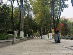 -莲湖公园