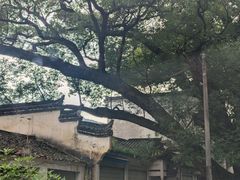 -上坦村