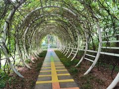 -郑州植物园