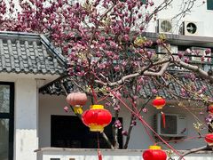 -丽泽山庄·生态怀柔菜·虹鳟鱼(红螺寺店)